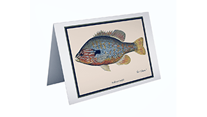 Classic_Fish_Art_Greeting_Cards.png