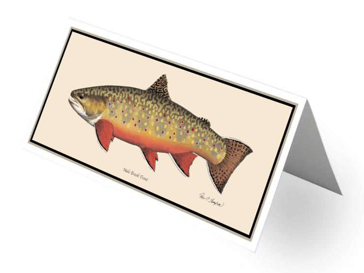 Brook Trout Greeting Card ClassicFish Art